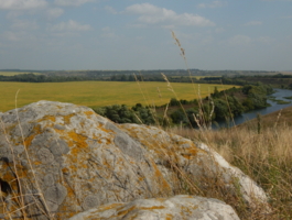 Говорят, эти камни при дожде будут синими