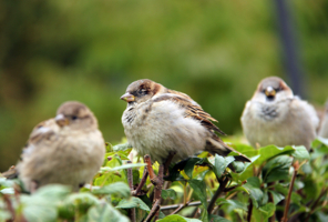 похолодало