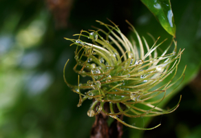 Промок клубок