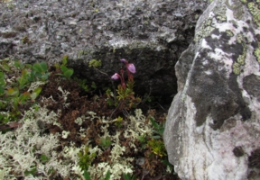 С лицом пацана