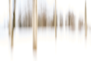 Белое половодье