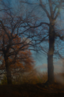 Меланхолия