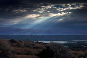 Тревожное утро