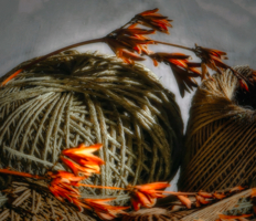 Клубки и ветки.