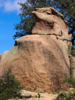 Индюшка спит