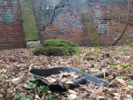 Камень у кирпичной стены