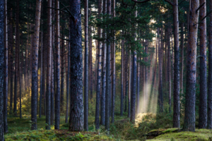 Солнечный "фонарик"