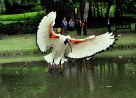 Приземление