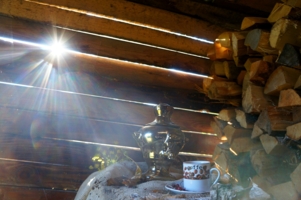 В гостях у ...