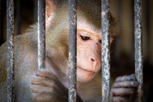 Этот взгляд