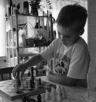 Шахматная  клетка .