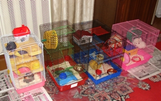 Где эта улица..