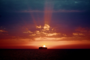 Присело солнце на контейнер .....