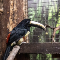 Вот такая жизнь..