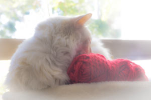 Белое и красное