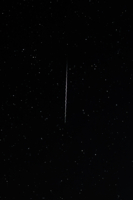 Чёрное и белое