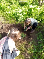 Любовь к природе