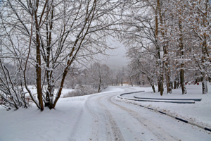 А дорога серою лентою вьется...