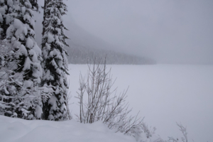 Звук Тишины