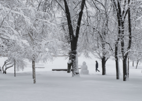 Снежная зима