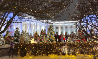 В царстве новогодних ёлок