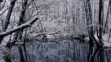 Первый снег.