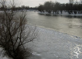 Зимняя серость