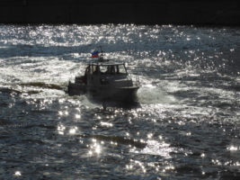 Серое сияние...