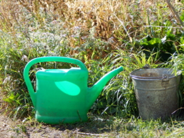 Солнечная дырка