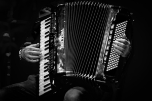 Руки аккордеониста