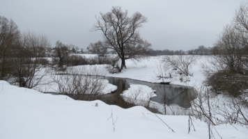 Река Протва