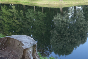 Былое и думы