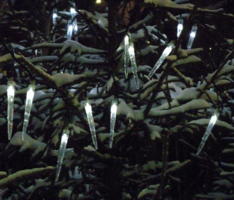 В праздничном убранстве