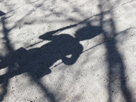 Серые будни качелей.