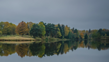 Единство 2х миров: реального и отражённого