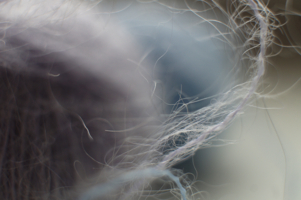 Распушилась