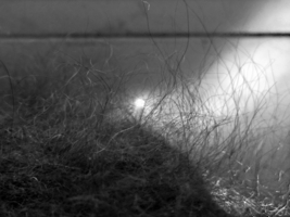 Лунный вечер на озере