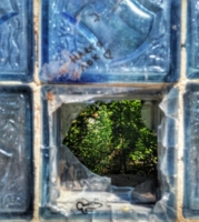 Нет, в жизни мне не повезло,