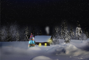 Сказка в новогоднюю ночь