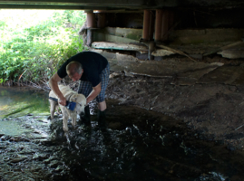 Моем, моем трубочиста, чисто-чисто...
