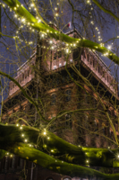 Когда ёлок нету