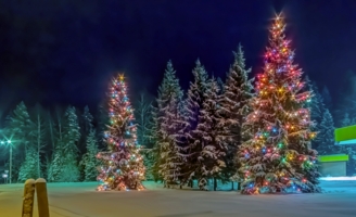 Наряженные ёлки около автозаправки