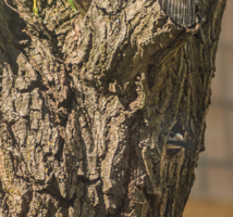 погода в доме...