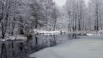 Скоро зима.