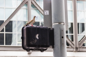 Жизнь и металл