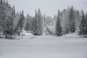 От мороза чуть пьяные