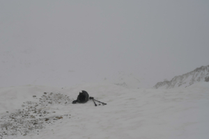 Дальше тропа ёк