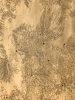 Домики дырочки