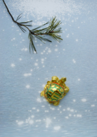 Черепаха - символ удачи в достижении цели