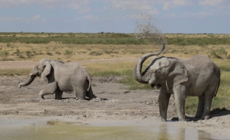 Всем удачи!